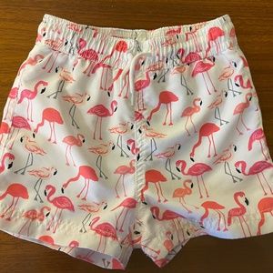 Janie and Jack Flamingo Swim Trunks, 12-18 mos